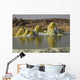Dallol Geothermal Area Danakil Wall Decal Design 4