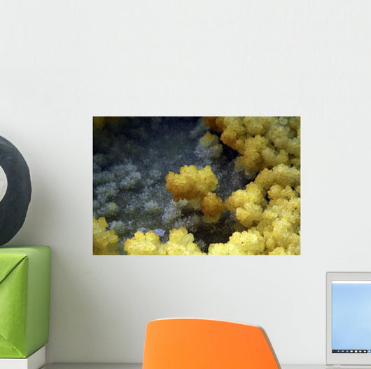 Dallol Geothermal Area Danakil Wall Decal Design 3