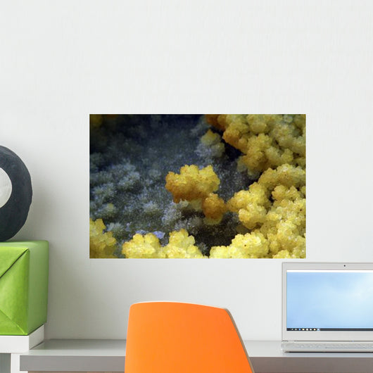 Dallol Geothermal Area Danakil Wall Decal Design 3