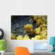 Dallol Geothermal Area Danakil Wall Decal Design 3