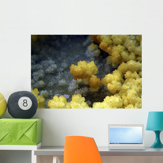 Dallol Geothermal Area Danakil Wall Decal Design 3