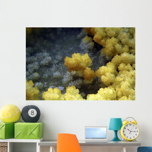 Dallol Geothermal Area Danakil Wall Decal Design 3