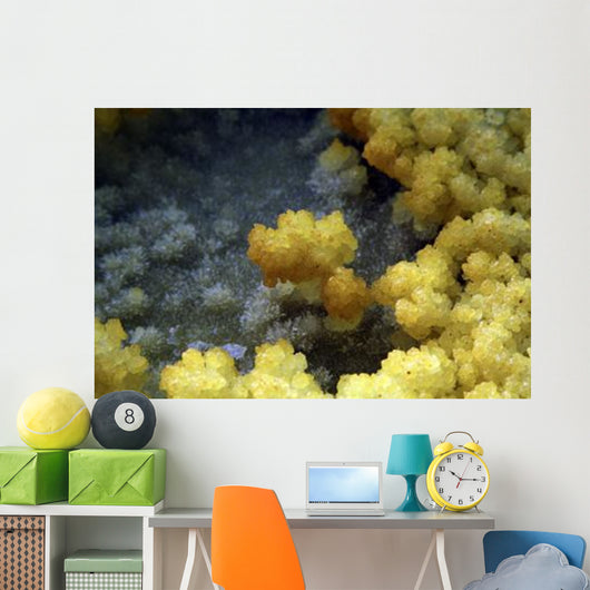 Dallol Geothermal Area Danakil Wall Decal Design 3