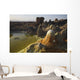 Dallol Geothermal Area Danakil Wall Decal Design 2