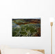 Dallol Geothermal Area Danakil Wall Decal Design 1