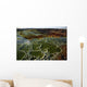 Dallol Geothermal Area Danakil Wall Decal Design 1