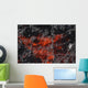 Pacaya Lava Flow Guatemala Wall Decal