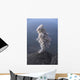 Santiaguito Ash Eruption Guatemala Wall Decal Design 2