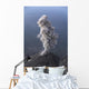 Santiaguito Ash Eruption Guatemala Wall Decal Design 2