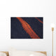 Stromboli Lava Flow Aeolian Wall Decal
