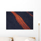 Stromboli Lava Flow Aeolian Wall Decal