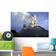 Merapi Eruption Java Island Wall Decal