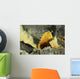 Papandayan Sulfur Cone Java Wall Decal