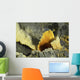 Papandayan Sulfur Cone Java Wall Decal