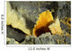 Papandayan Sulfur Cone Java Wall Decal