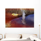 Papandayan Acid Lake with Wall Decal