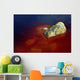 Papandayan Acid Lake Java Wall Decal