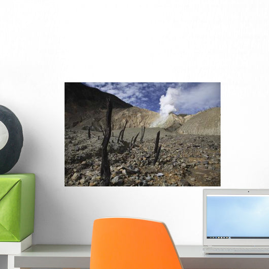 Papandayan Crater Java Island Wall Decal