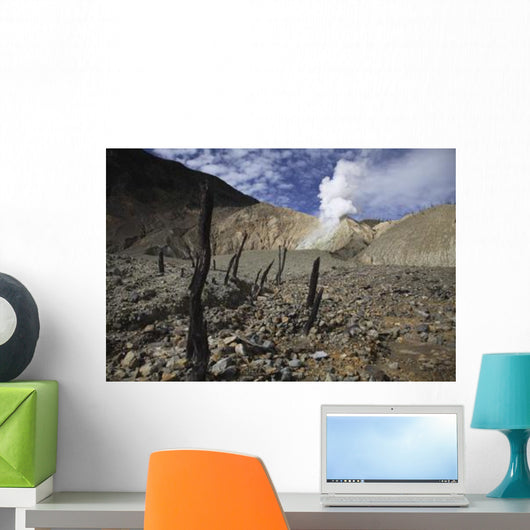 Papandayan Crater Java Island Wall Decal
