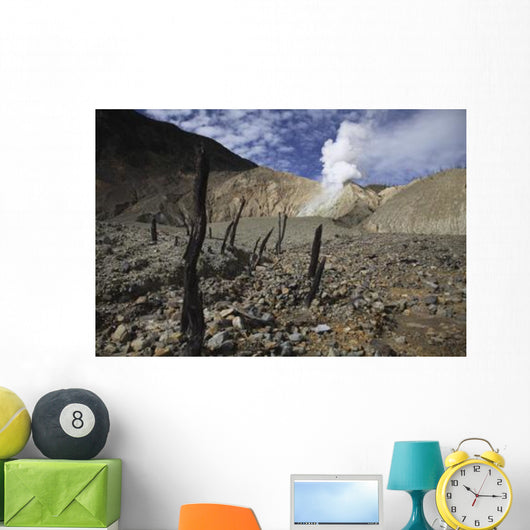 Papandayan Crater Java Island Wall Decal