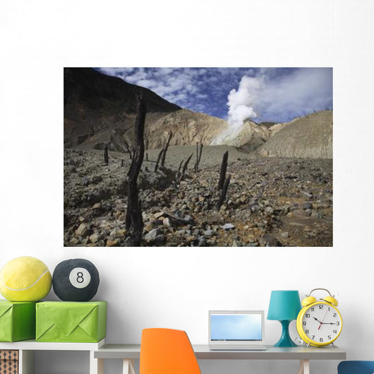 Papandayan Crater Java Island Wall Decal