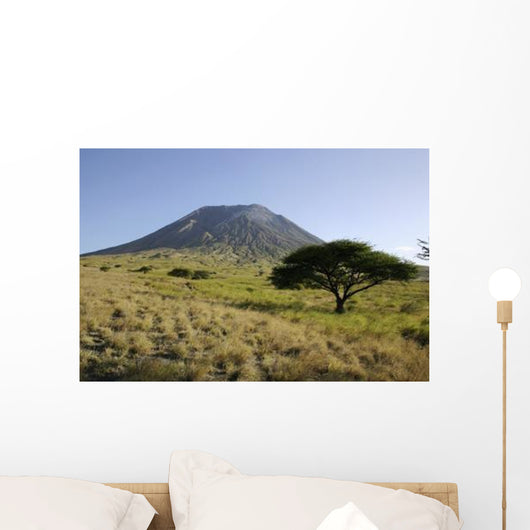 Ol Doinyo Lengai Rift Wall Decal