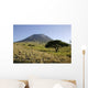 Ol Doinyo Lengai Rift Wall Decal