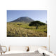 Ol Doinyo Lengai Rift Wall Decal