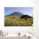 Ol Doinyo Lengai Rift Wall Decal