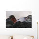 Skylight with Lava Reflection Wall Decal