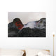 Skylight with Lava Reflection Wall Decal