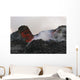 Skylight with Lava Reflection Wall Decal