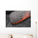 Kilauea Pahoehoe Lava Flow Wall Decal Design 5