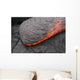 Kilauea Pahoehoe Lava Flow Wall Decal Design 5