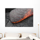 Kilauea Pahoehoe Lava Flow Wall Decal Design 5