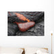 Kilauea Pahoehoe Lava Flow Wall Decal Design 4