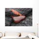 Kilauea Pahoehoe Lava Flow Wall Decal Design 4