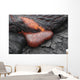 Kilauea Pahoehoe Lava Flow Wall Decal Design 4