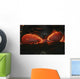 Kilauea Pahoehoe Lava Flow Wall Decal Design 3
