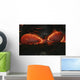 Kilauea Pahoehoe Lava Flow Wall Decal Design 3