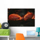 Kilauea Pahoehoe Lava Flow Wall Decal Design 3