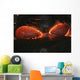 Kilauea Pahoehoe Lava Flow Wall Decal Design 3
