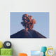 Semeru Eruption Java Island Wall Decal Design 4