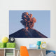 Semeru Eruption Java Island Wall Decal Design 4