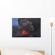 Eyjafjallaj�kull Eruption Summit Wall Decal Design 5