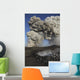 Eyjafjallaj�kull Eruption Steaming Wall Decal