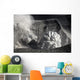 Yasur Eruption Tanna Island Wall Decal Design 3