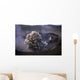 Yasur Eruption Tanna Island Wall Decal Design 2