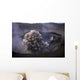 Yasur Eruption Tanna Island Wall Decal Design 2