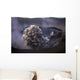 Yasur Eruption Tanna Island Wall Decal Design 2